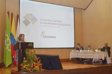 Asamblea Extraordinaria de Delegados