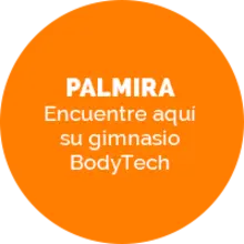 BodyTech